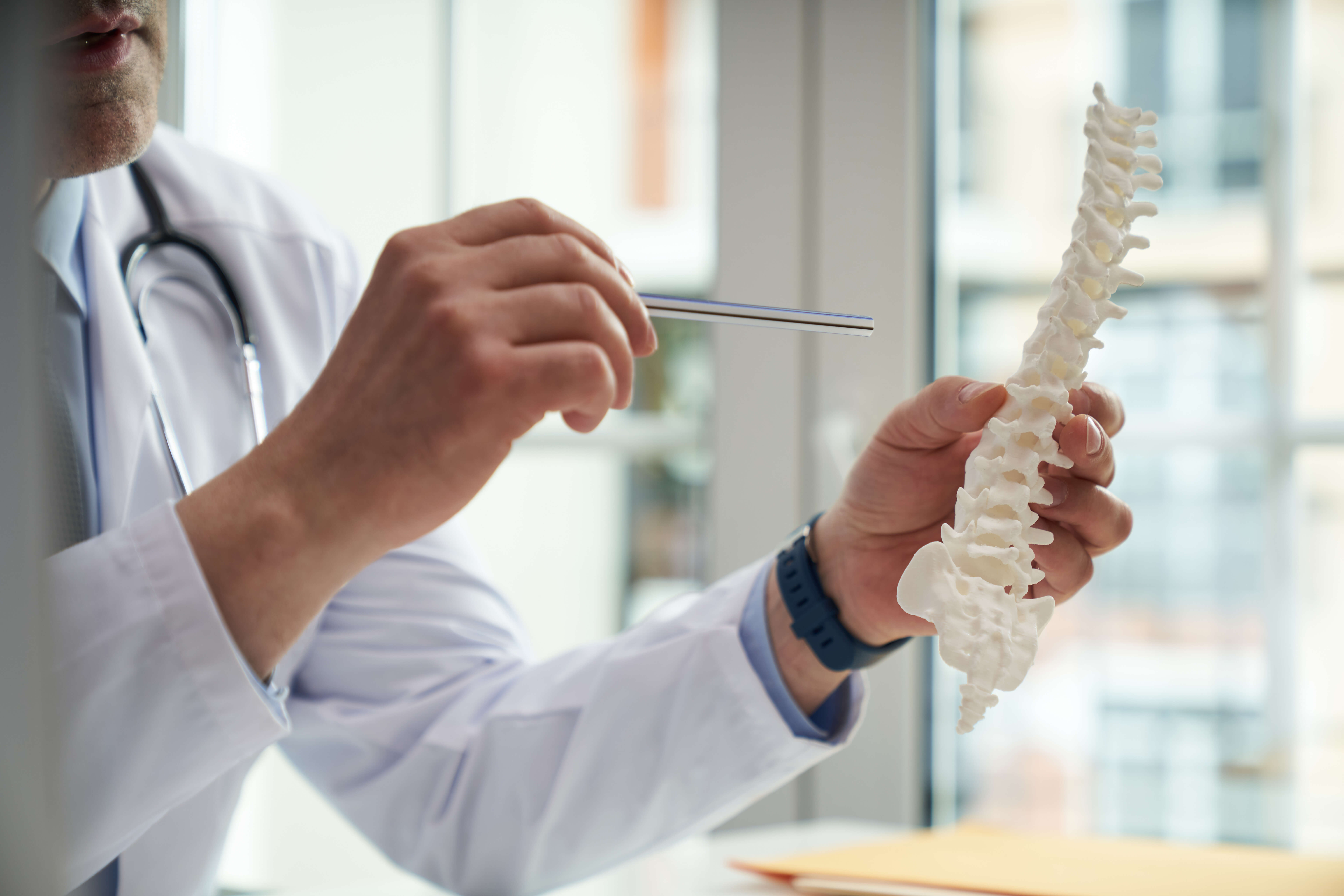 A doctor in a white coat points to a vertebra on a model of a human spine.