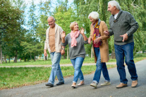 Group of older adults enjoy a walk together in a park in spring.