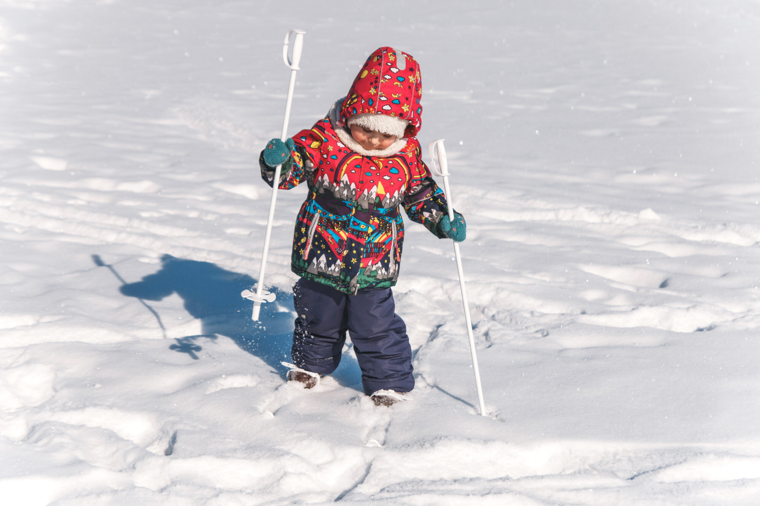  A little girl is on cross country skis in the snow, holding white ski poles. 