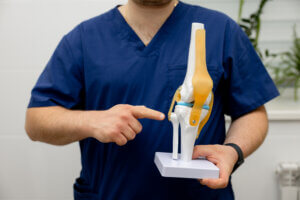 Orthopedic provider using a knee model to explain joint anatomy and treatment options