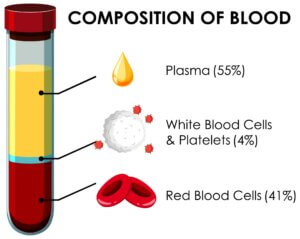 Diagram showing plasma, white blood cells, platelets, and red blood cells in a blood sample used to explain PRP therapy.